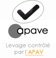 APAV